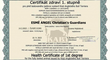 certifikat_esme