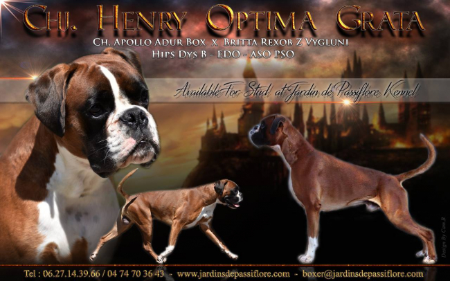 Henry Optima grata