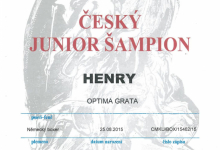 Henry Optima grata